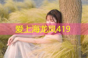 上海新茶工作室：将传统的茶文化与现代都市生活相结合