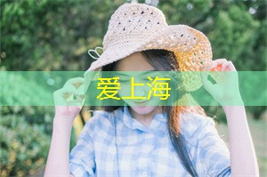 上海公司：揭秘豪华SPA保养，消除疲劳、达到身心平衡的绝佳方