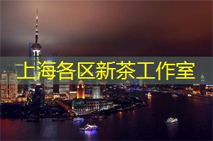 神秘夜游上海：一夜畅游最富魅力的城市