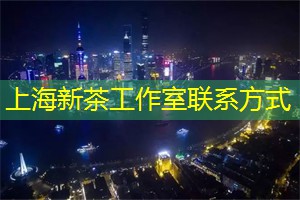 上海浪漫婚纱摄影基地，定格爱情的最美瞬间
