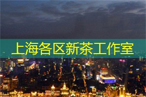 国务院关于在上海市创建“丝路电商”合作先行区方案的批复