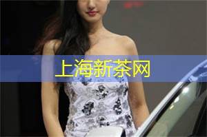 爱上海：提高城市的管理效率和居民的生活质量